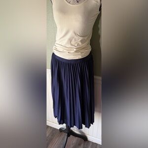 NWT Metrowear Navy Blue Pleated Skirt.